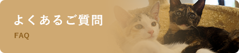 よくあるご質問